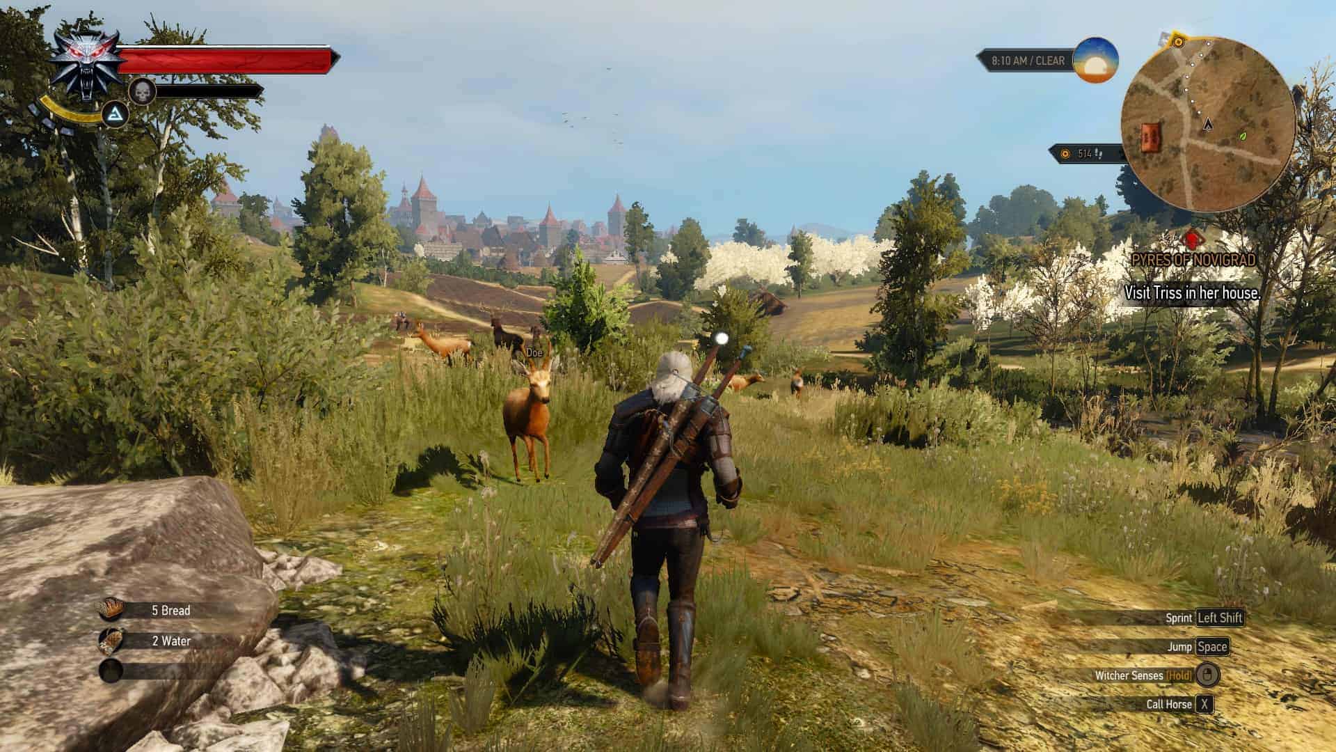 The Witcher 3 Wild Hunt Screenshots-2