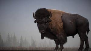 Alaskan Road Truckers 4